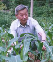 山仑