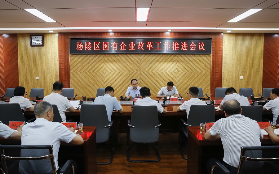 杨陵区召开国有企业改革工作推进会