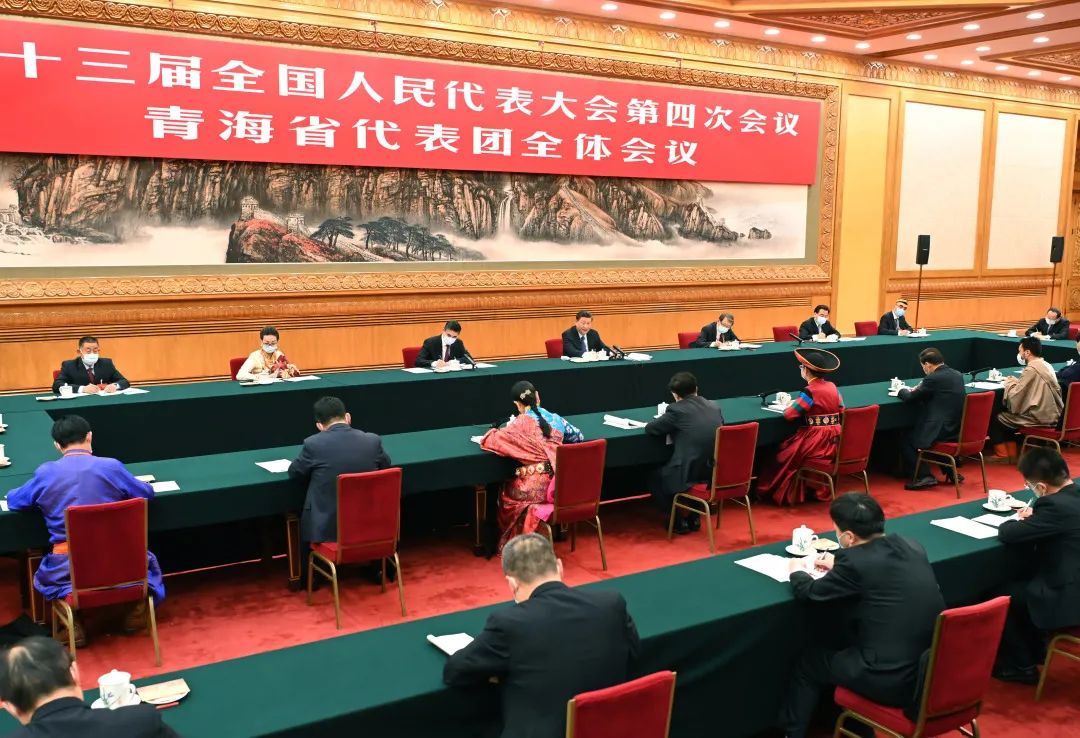 3月7日,习近平总书记参加青海代表团审议。新华社记者 李涛 摄