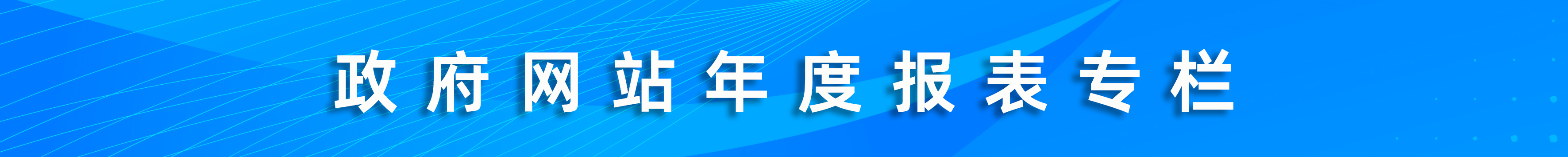 政府网站年度报表专栏