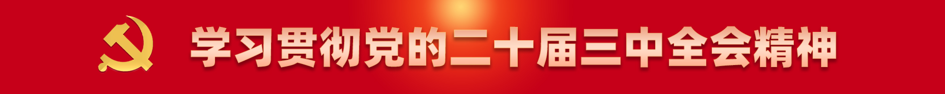 学习贯彻党的二十届三中全会精神