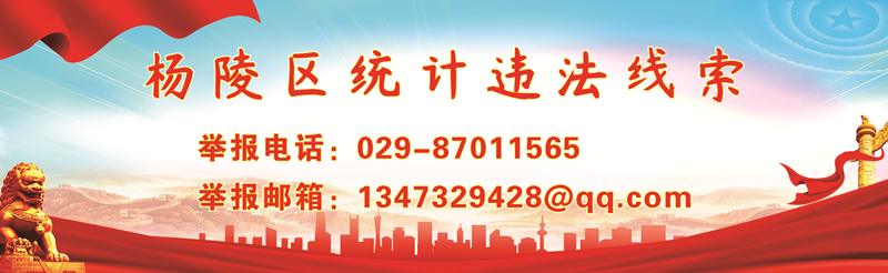 杨陵区统计违法线索