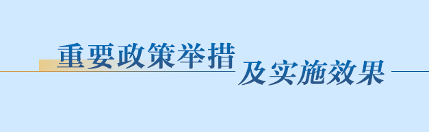 重要政策举措