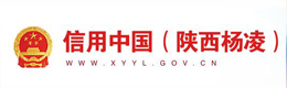 信用中国