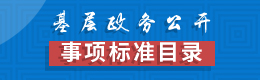 基层政务公开事项标准目录