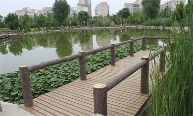 杨凌树木园