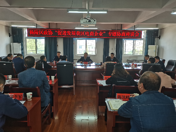 区政协开展“促进发展我区电商企业” 专题协商活动